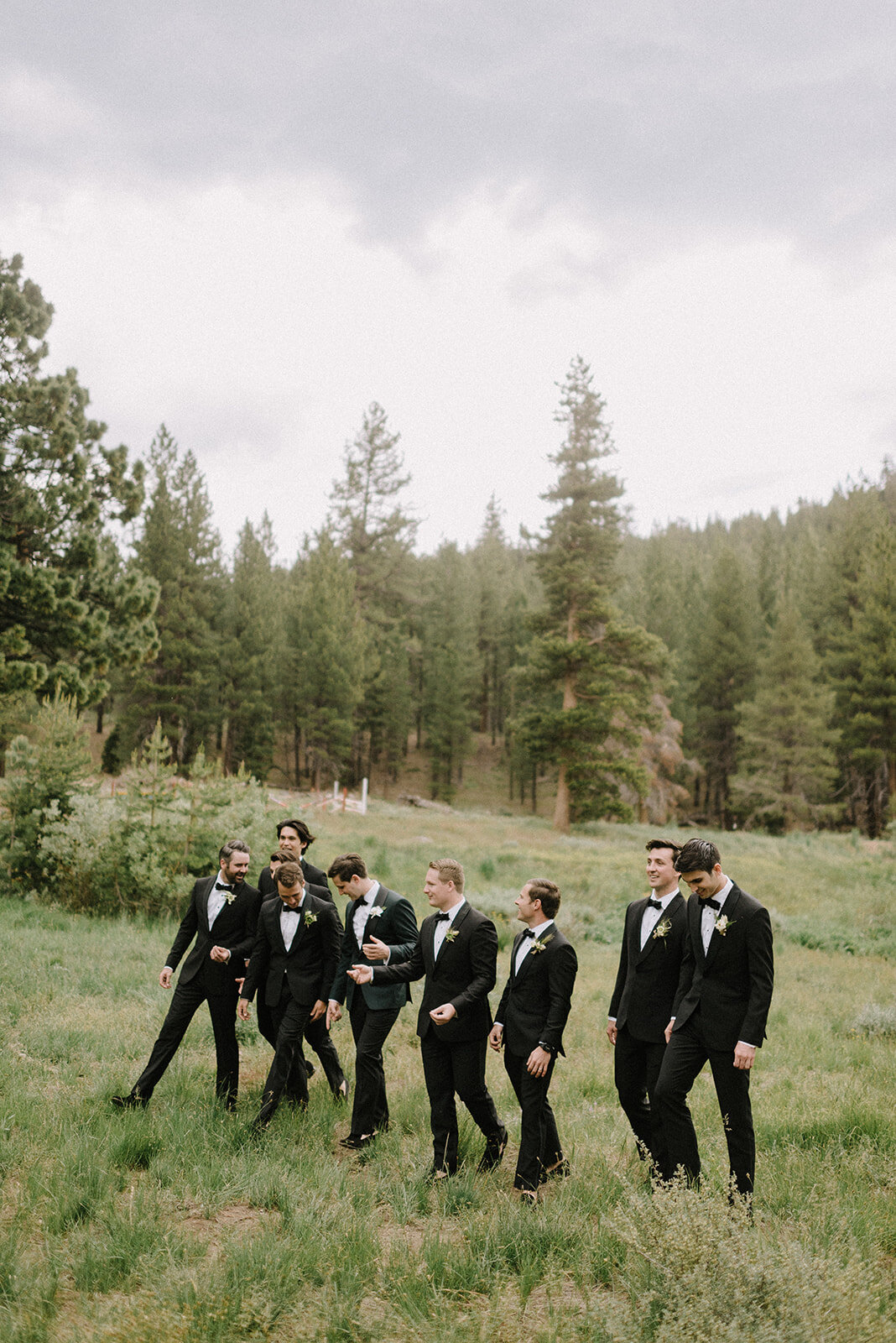 Lake-Tahoe-Wedding-Planner-Dancing-Pines-15