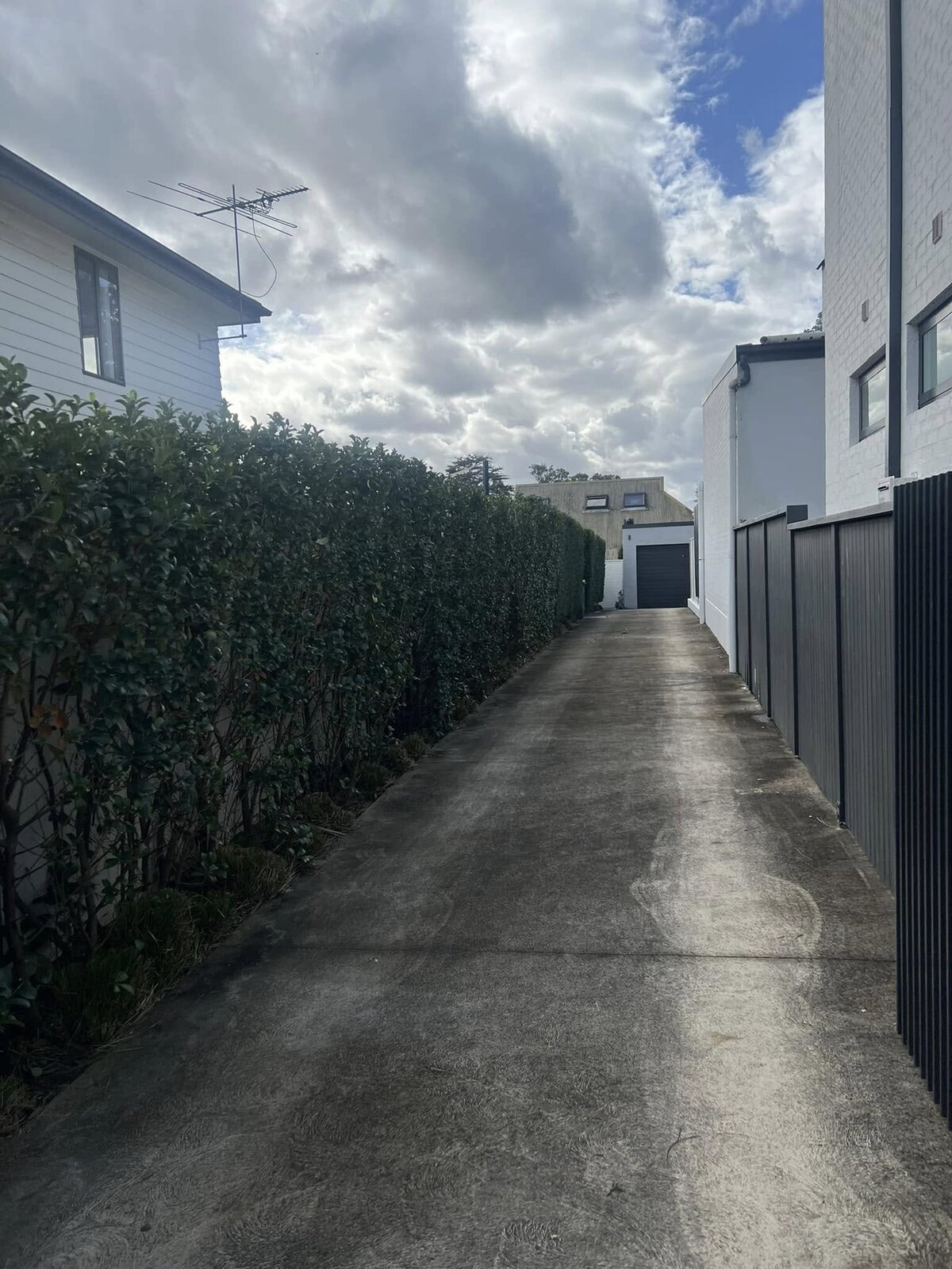 hedge cronulla