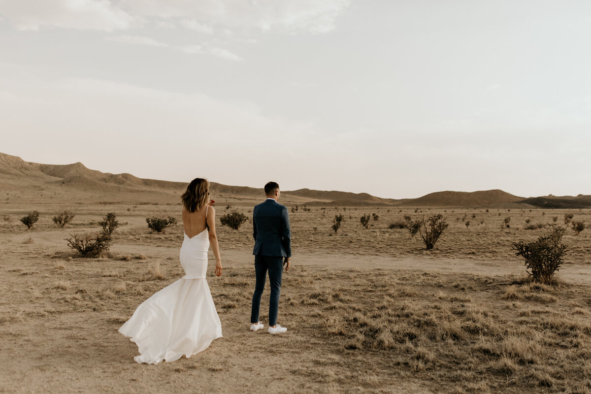 white-rock-maternity-elopement-photography-new-mexico-2