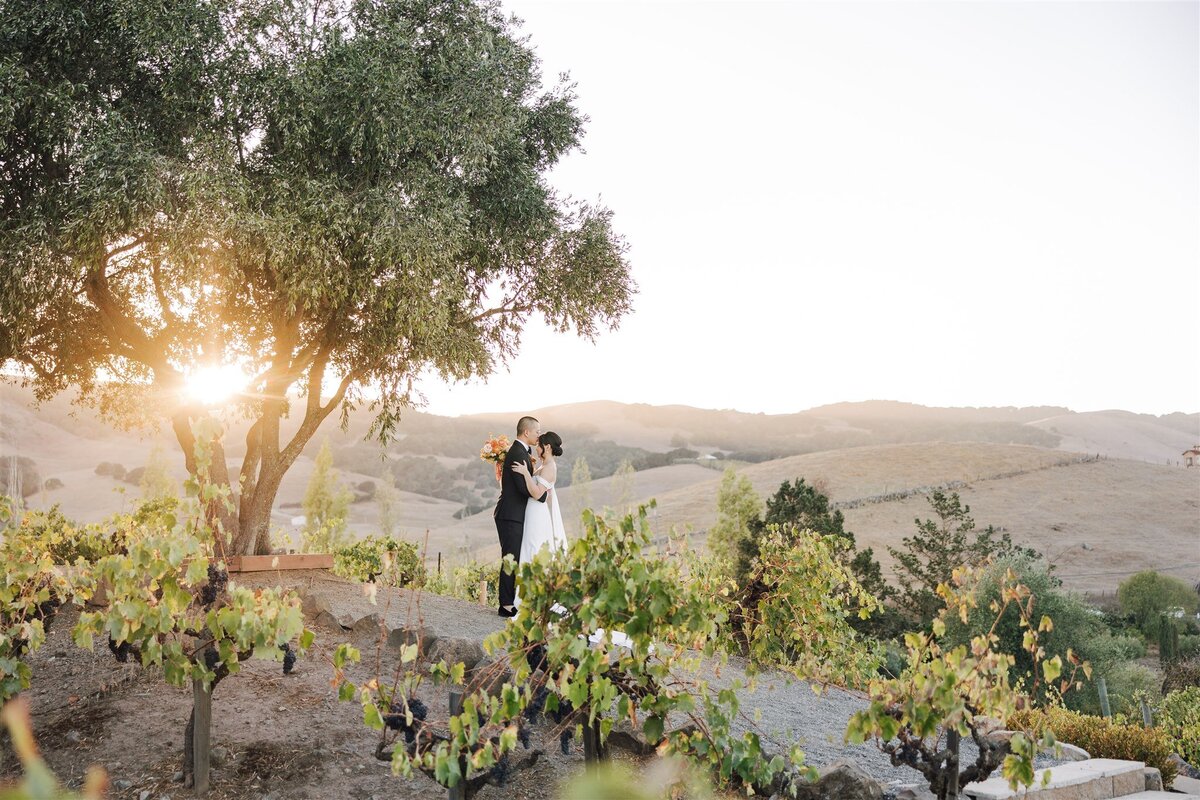viansa-sonoma-wedding-annie-ben-ashley-carlascio-photography-0693
