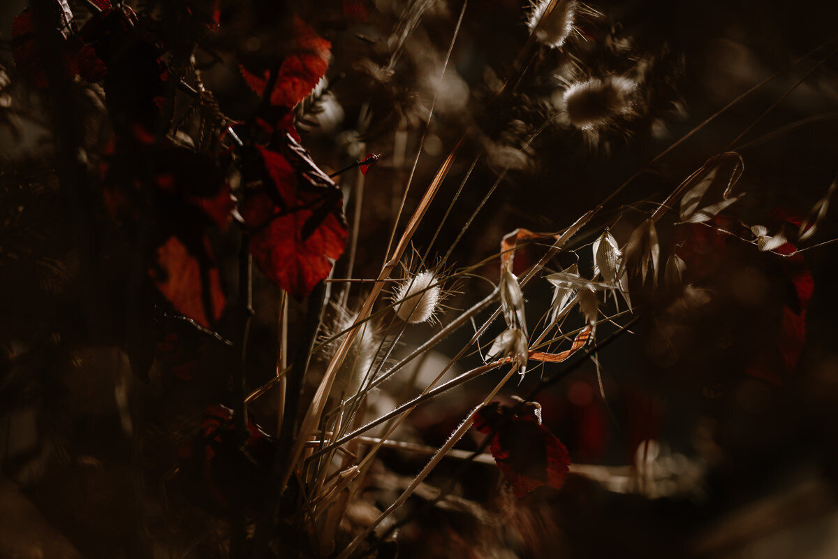 BlossomDaisyCreative_Wedding-Oscar&Bronte-078
