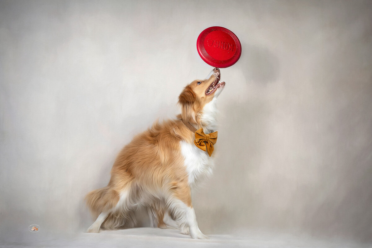 alf_48A7278-s