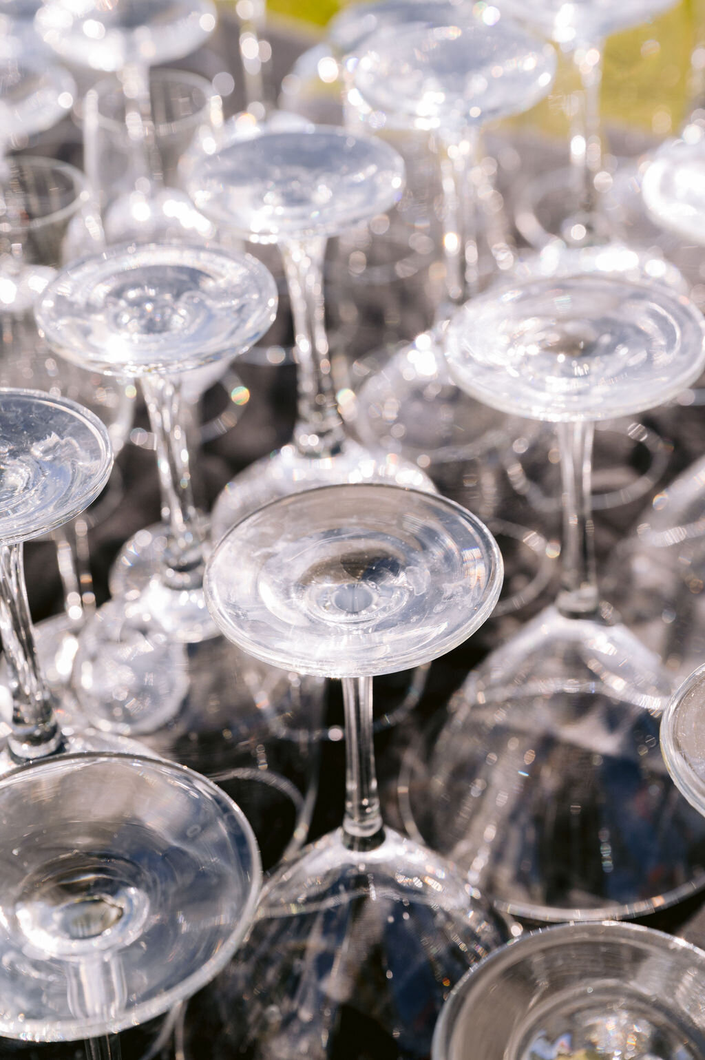 Haley-and-Michael-0081