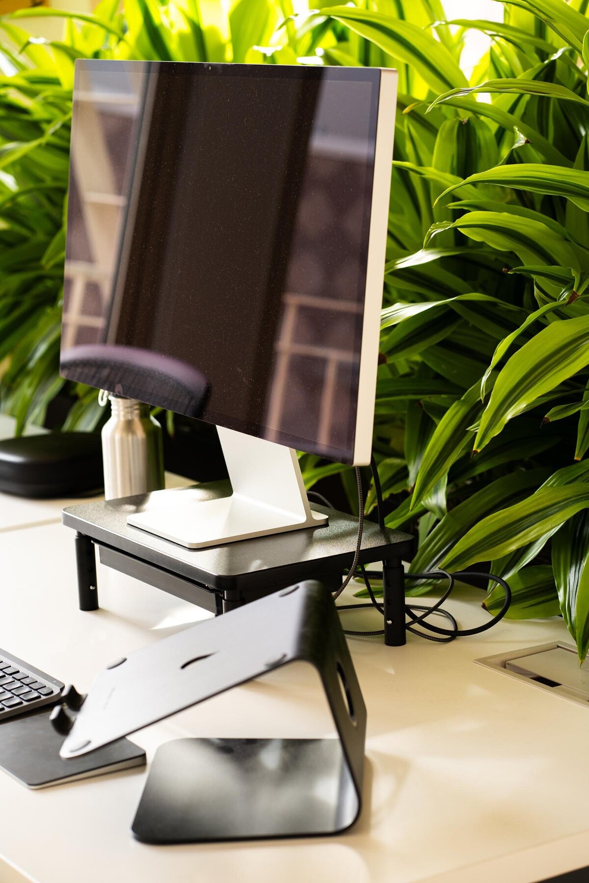 Close-up of a computer setup on a desk surrounded by lush green plants, with cords and accessories neatly organized.