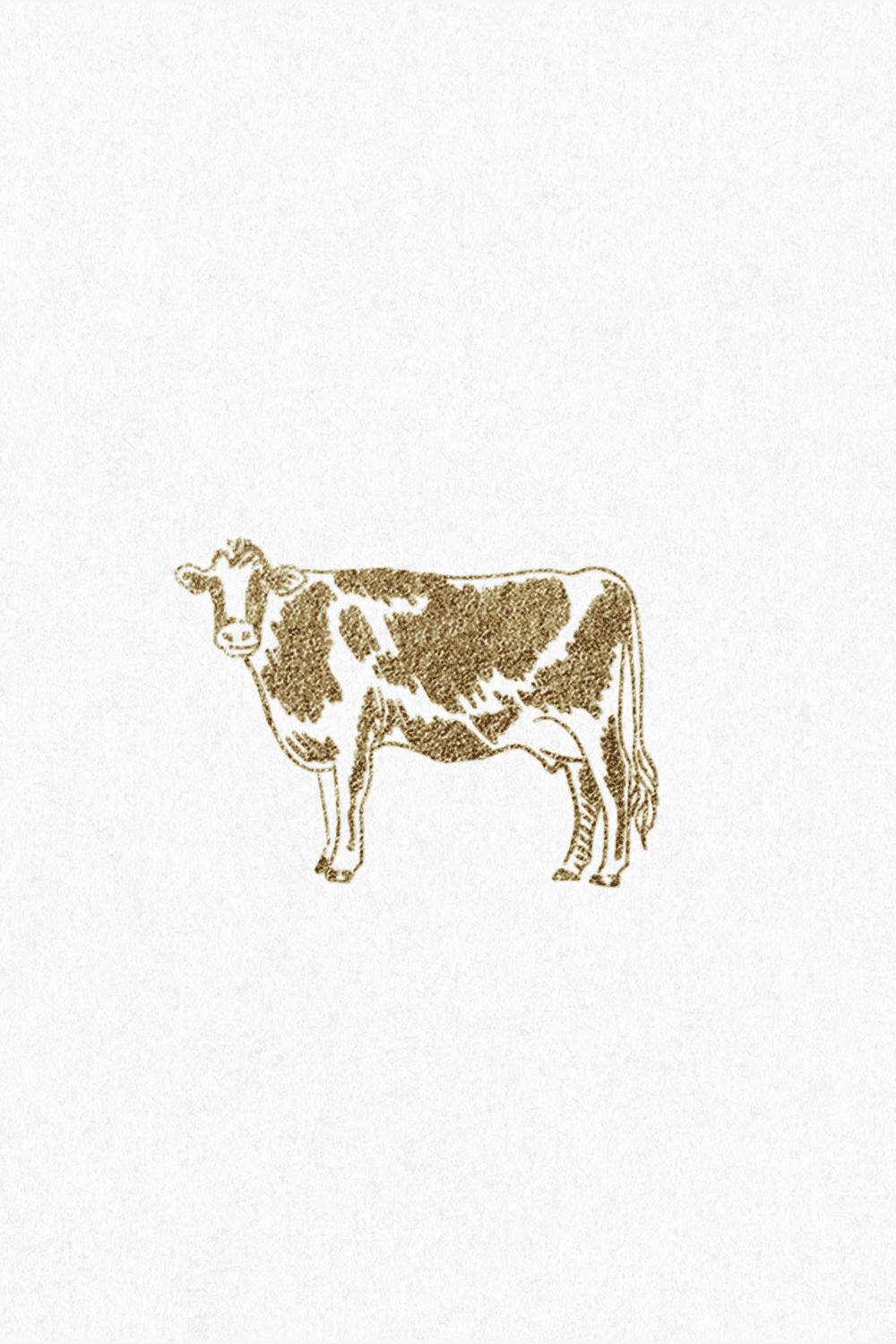 Custom-Illustration-Branding
