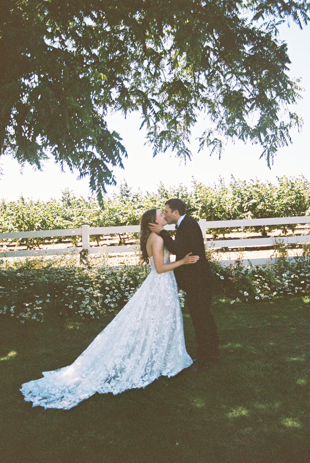 A bride and groom kissing outdoors captured on film.