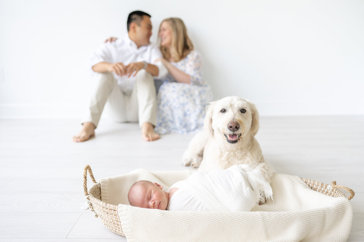 Raleigh Newborn Photographer