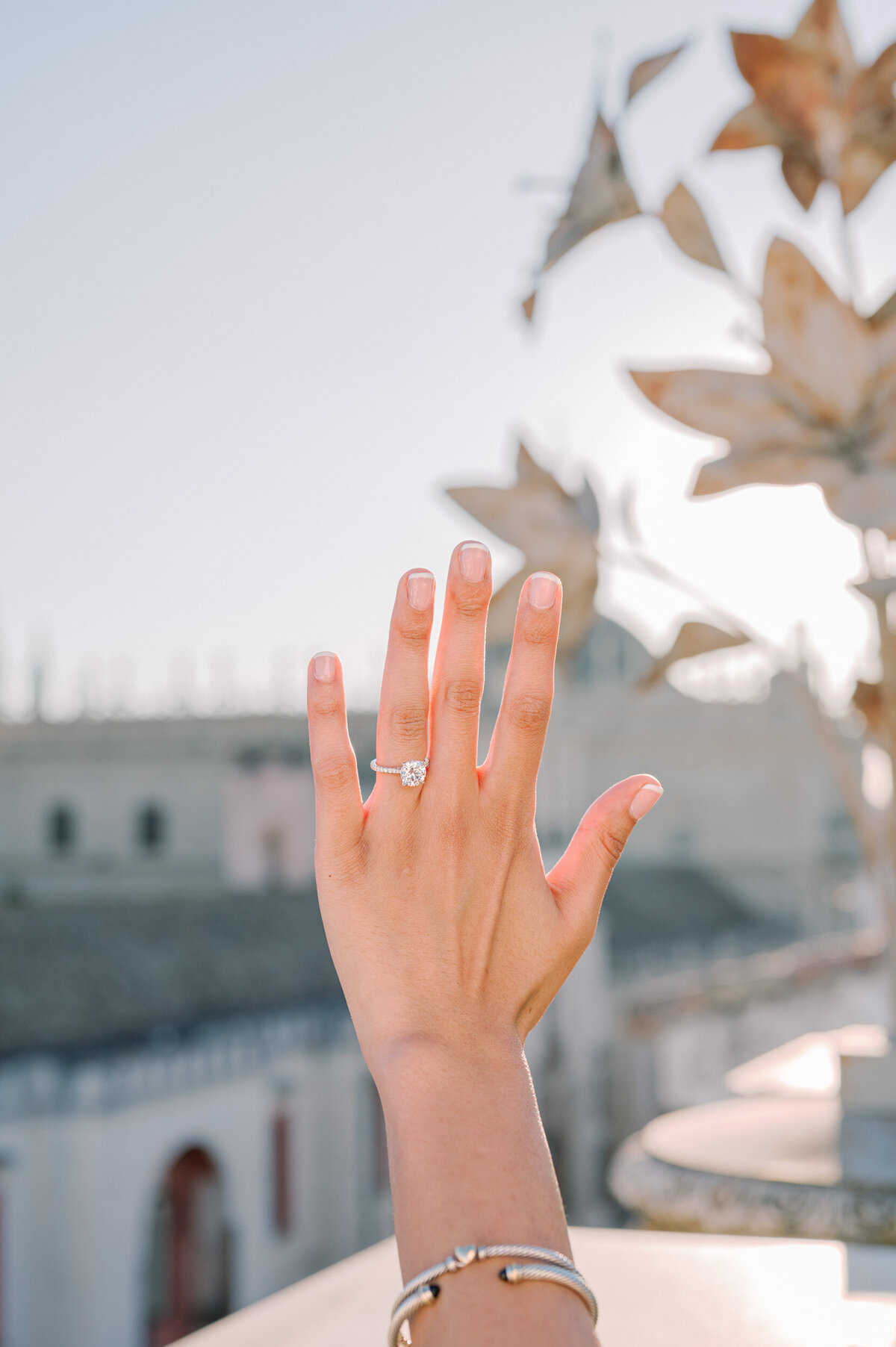 private-proposal-sevilla-026