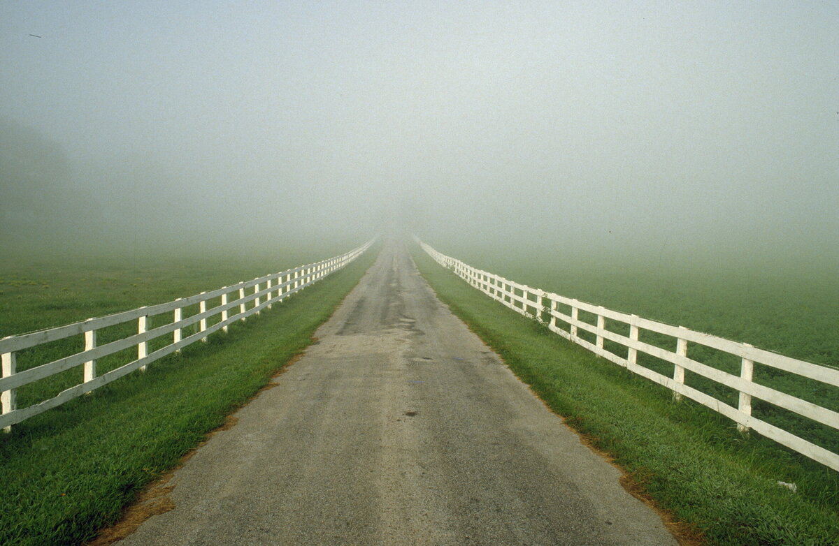 6 Lane in the MIst