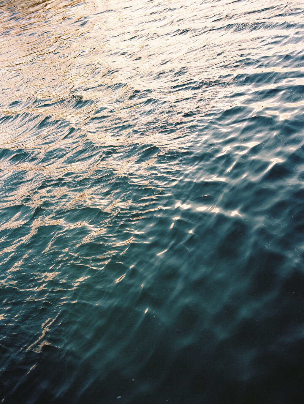 Coastal | Hannah Constein Photography