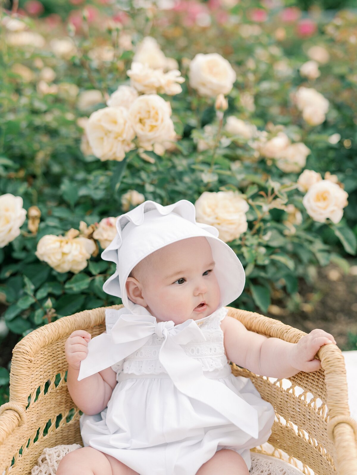 six month outdoor baby milestone photos northern virginia top photographer