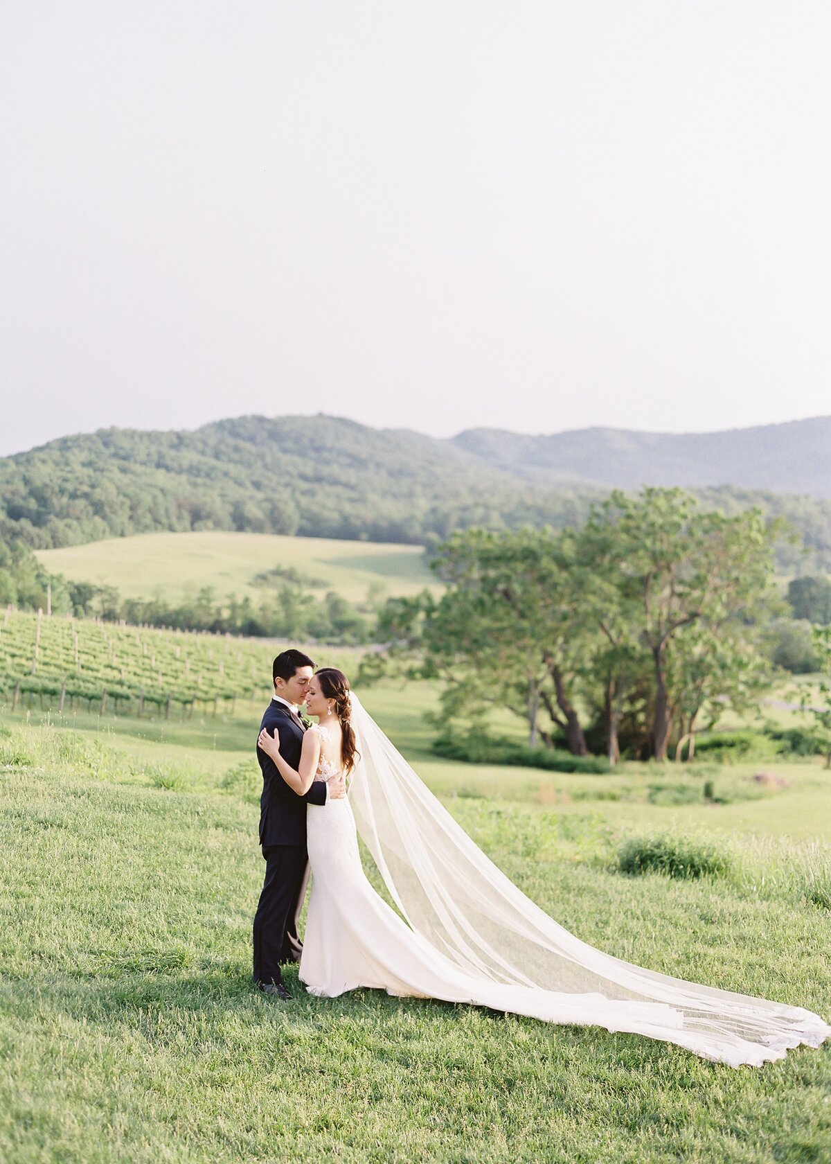 Vicki Grafton Photography Pippin Hill Wedding Luxury Virginia Fine art Film luxury Wedding Photographer DC Winery 54