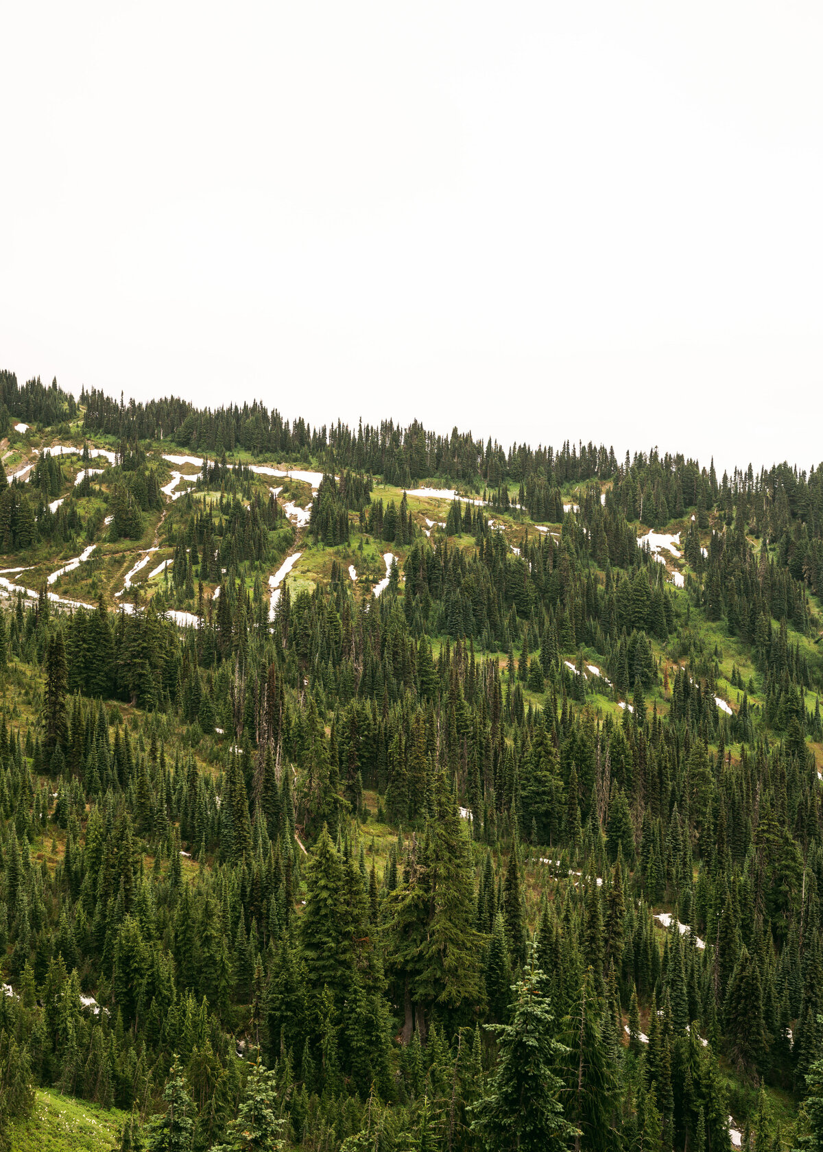 KEB_0734
