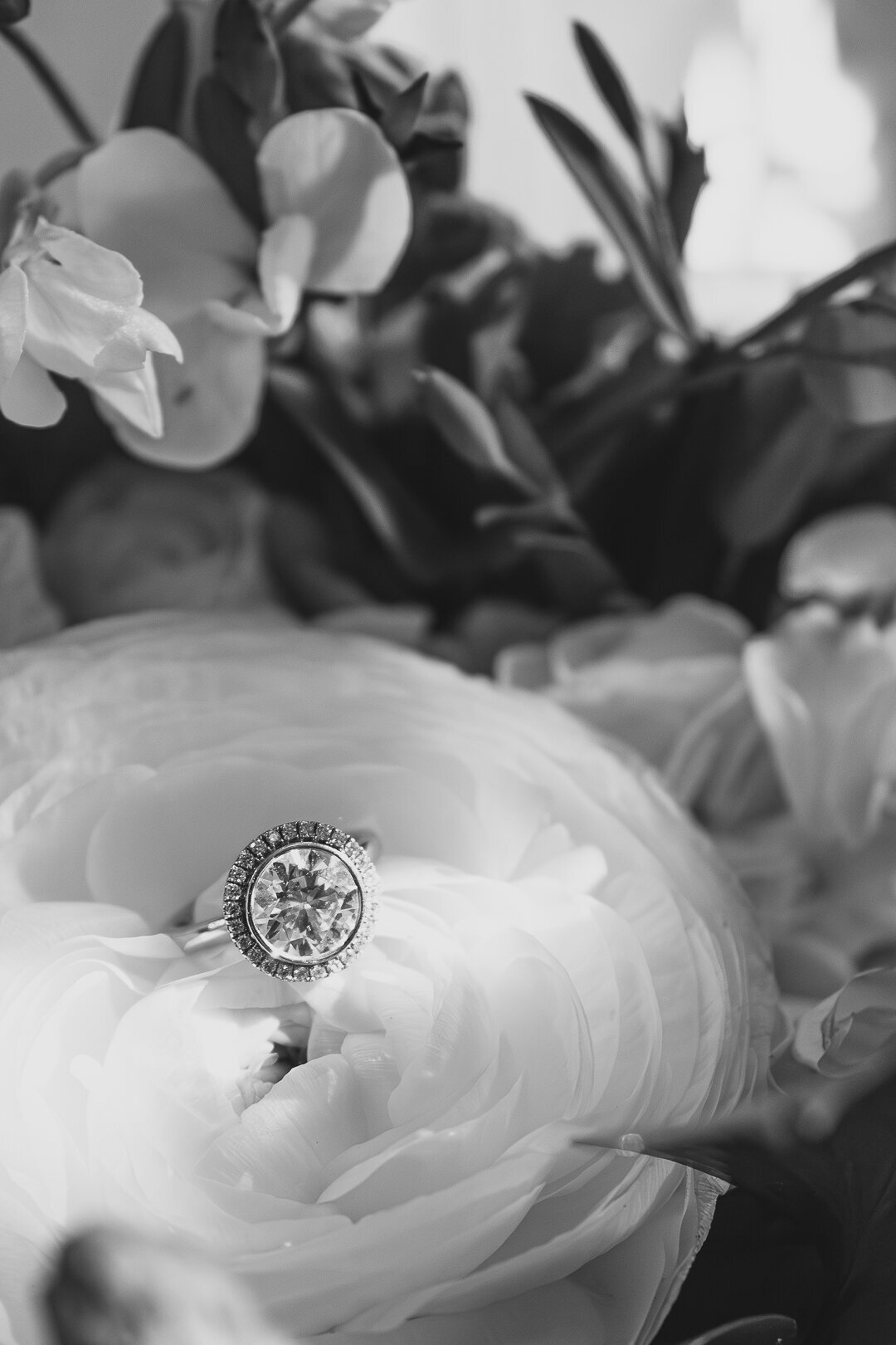 TheNormans-Wedding-Oct2023-WEB-8