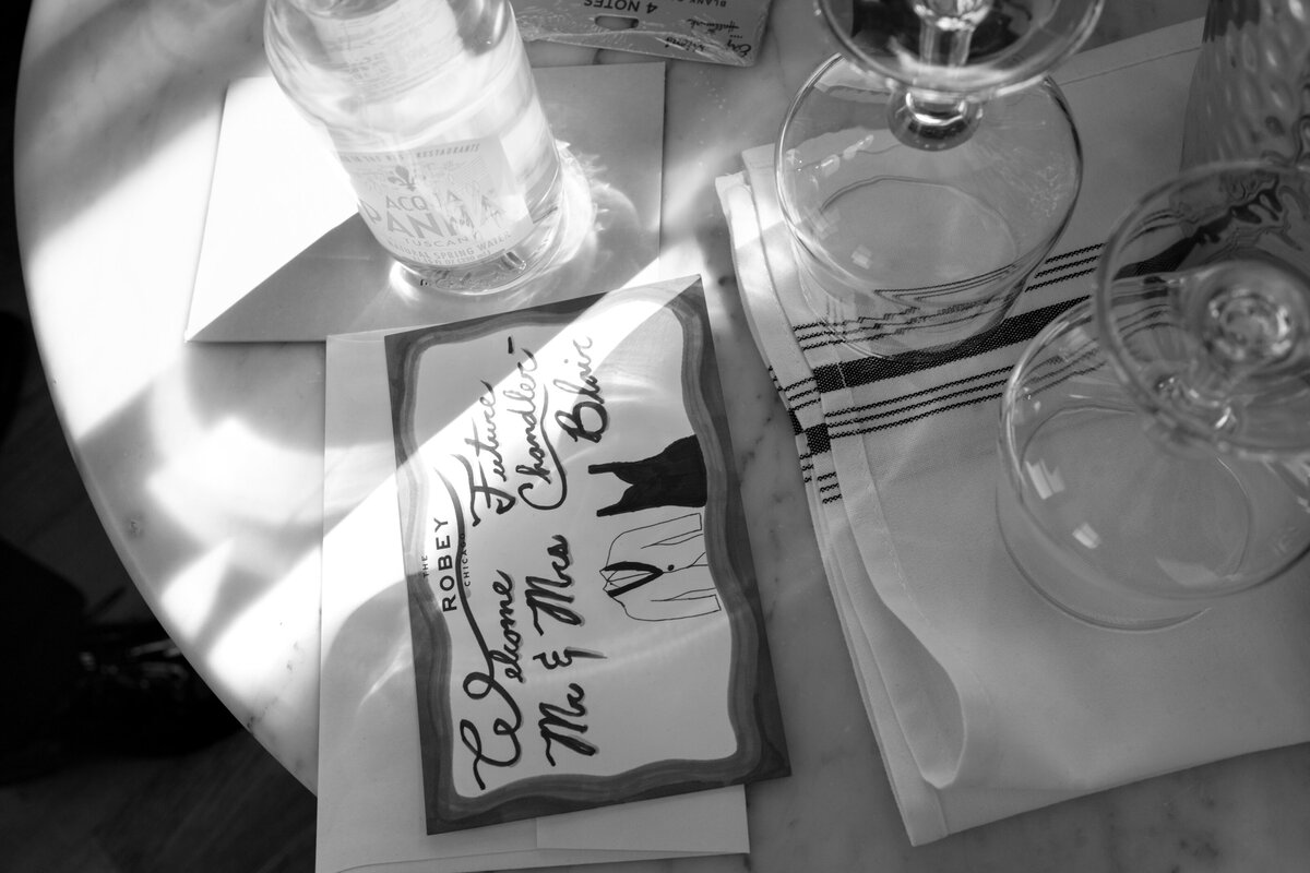 Berlez-Aspen-Avenue-Chicago-Wedding-Photographer- Clementine-Events-Thistle-&-Plume-Shannon-O’Brien-Makeup-Daniela-Kosta-Beauty-Sarabande-The-Robey-Vogue-Magazine-Editorial-Edgy-20