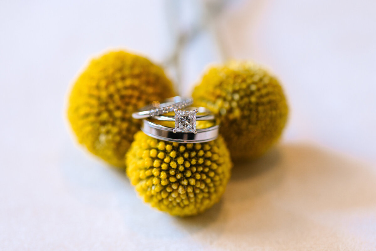 Eissa + Mamissa Wedding 10.26.24-11