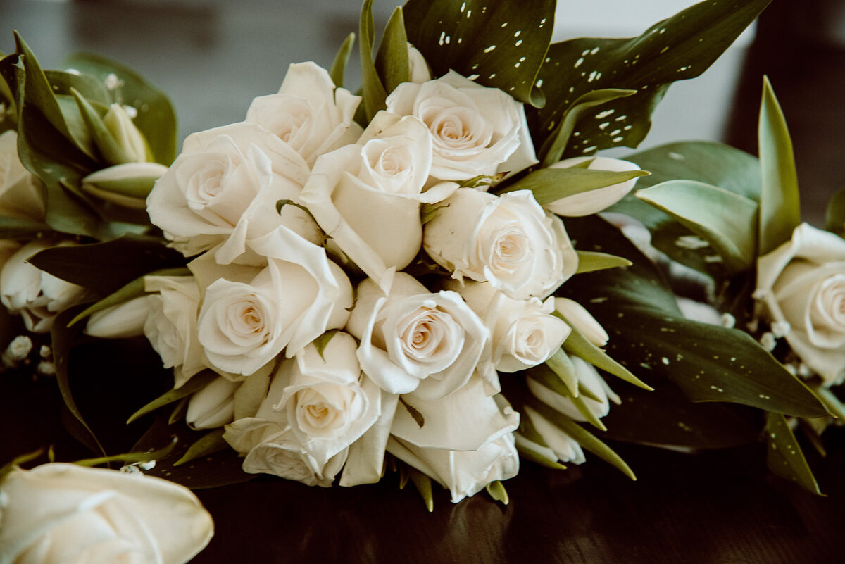 RB1_9334_websize