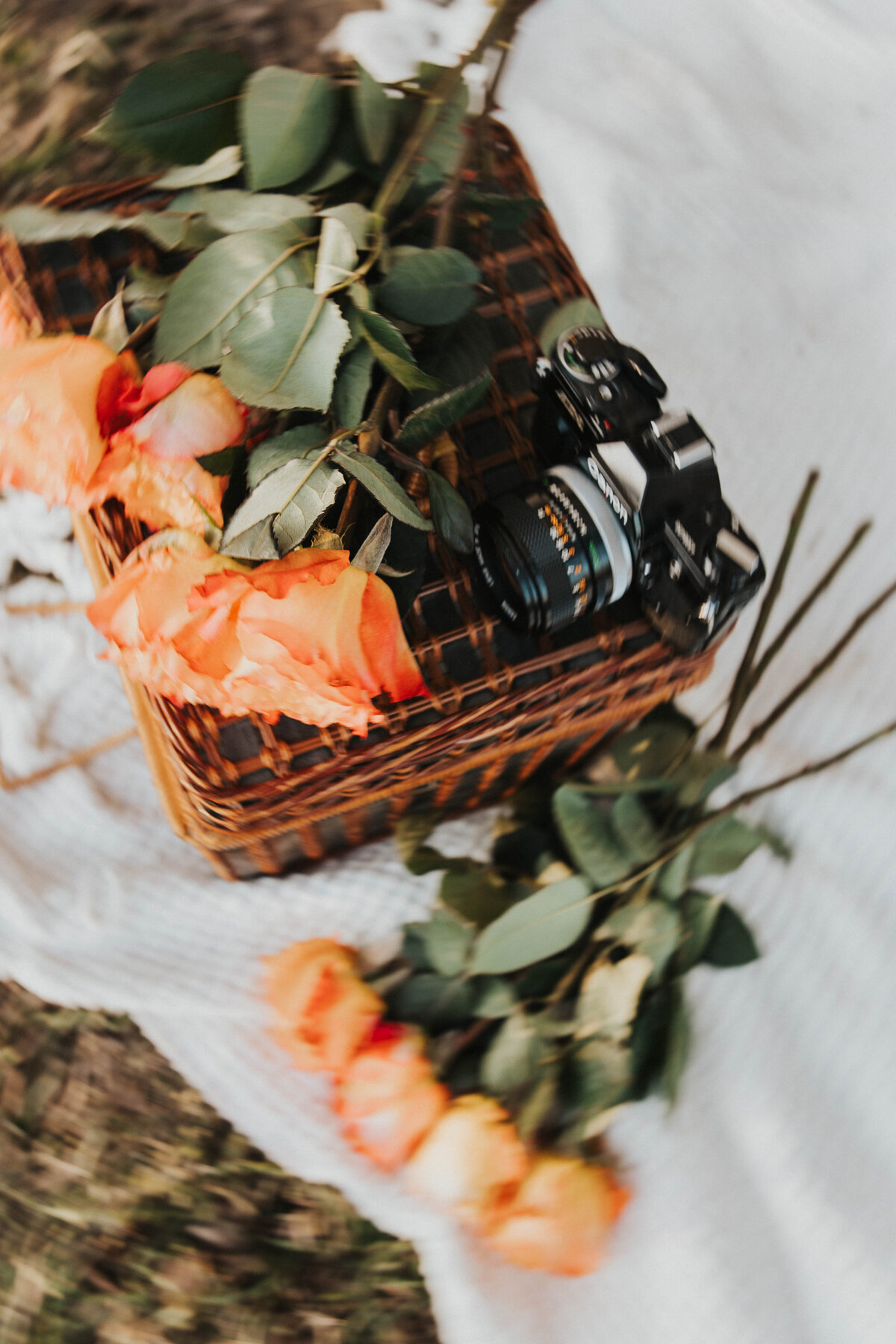 Avery + Logan - Elizabeth George Photography107477 2