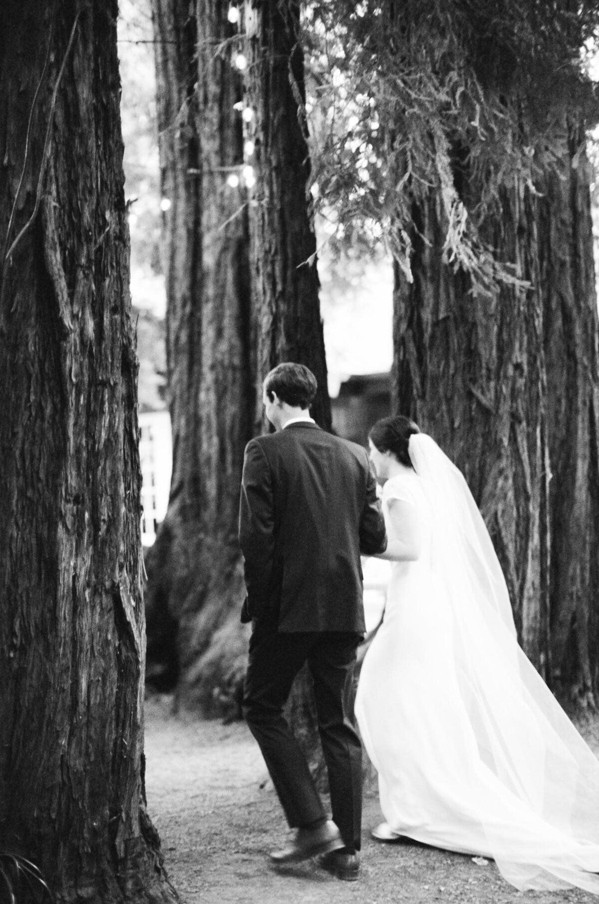 Newly married couple "elope" into the woods after a delightful forest wedding.