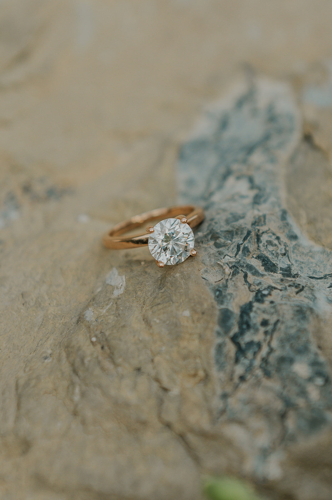presley-gray-glacier-national-park-elegant-elopement-1247