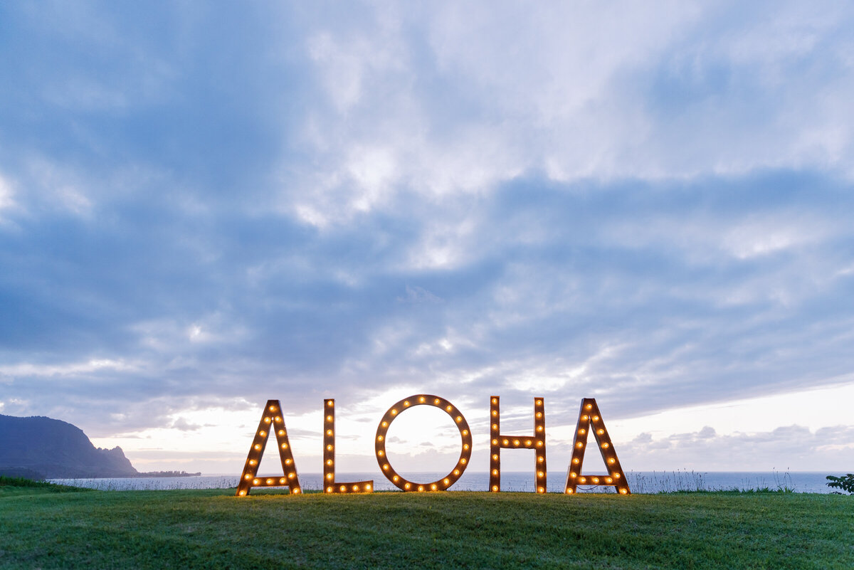 Best-Kauai-Photographer-57