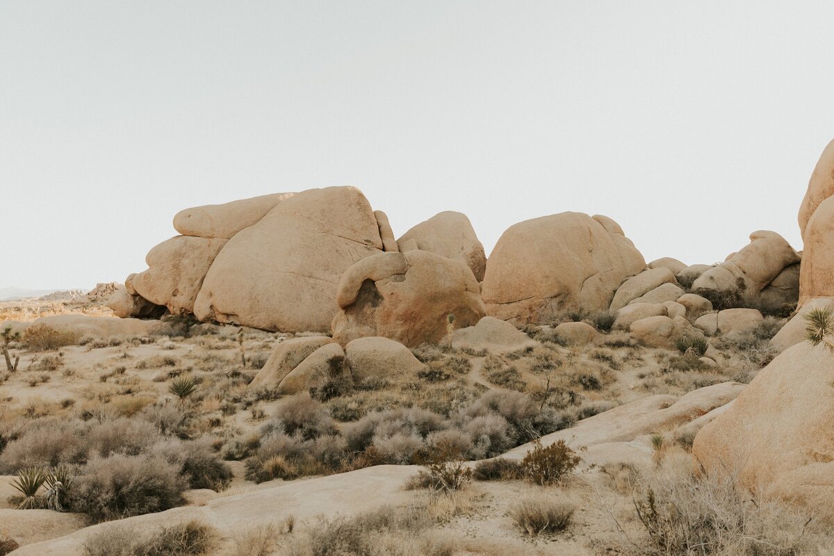 Joshua-Tree-Elopement-8