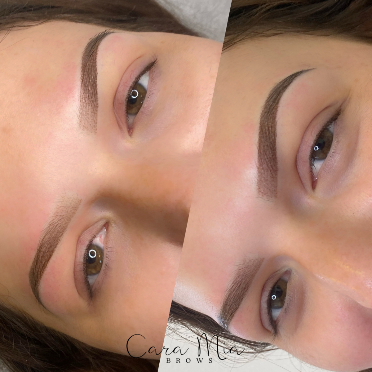 Ombre Powder Brows before and after