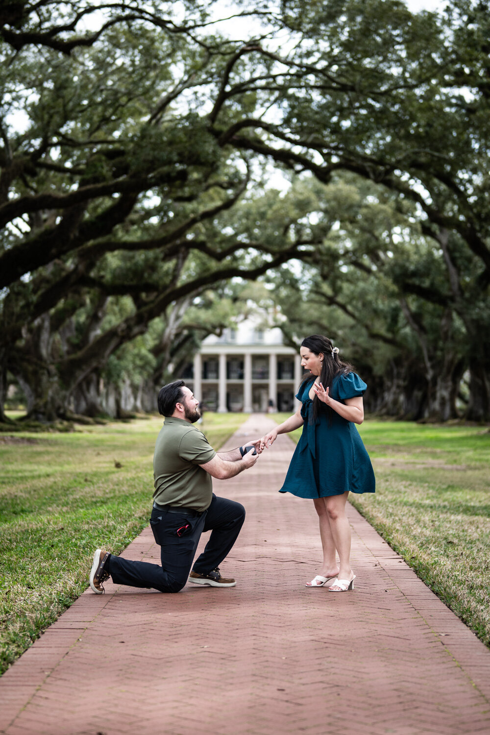 Marriage proposal at Oak Alley Plantation