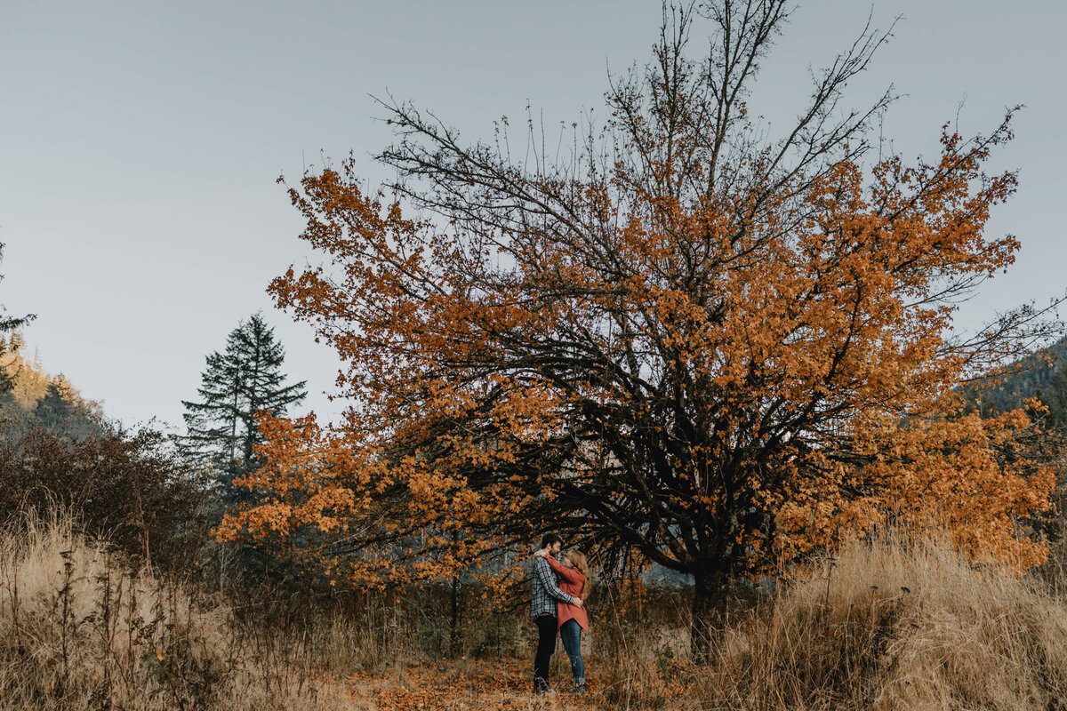 Chilliwack-Coquitlam-Couples-Photographer724A2130