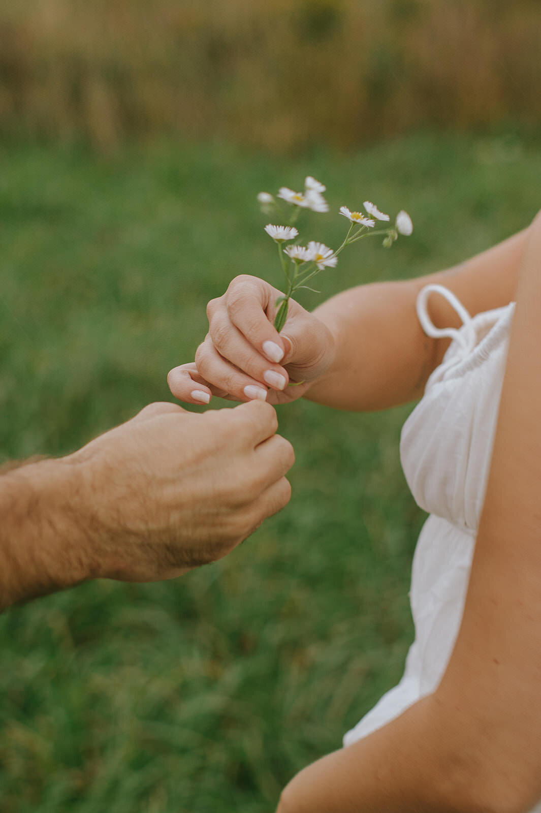 Engagement-Melissa-Harding-Photography-extended-family-photographer-PEI-Canada8