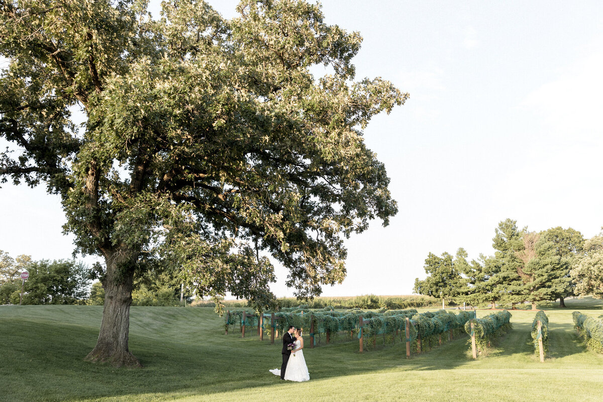 Summer-Wedding-DC-Estate-Winery-Beloit-Illinois-Meg-Dunn-Photography-71