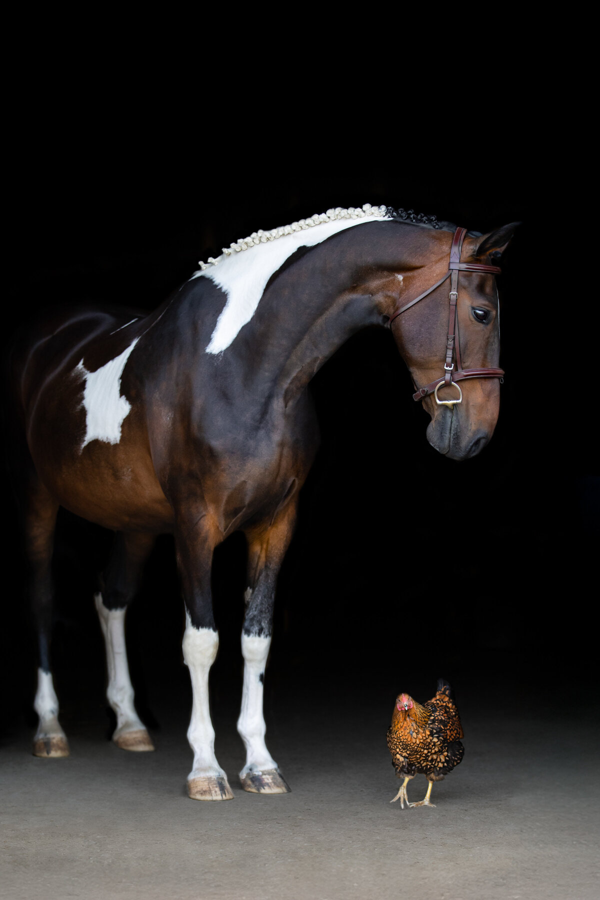 CW9A8640-Edit-Edit-Edit-Edit-2