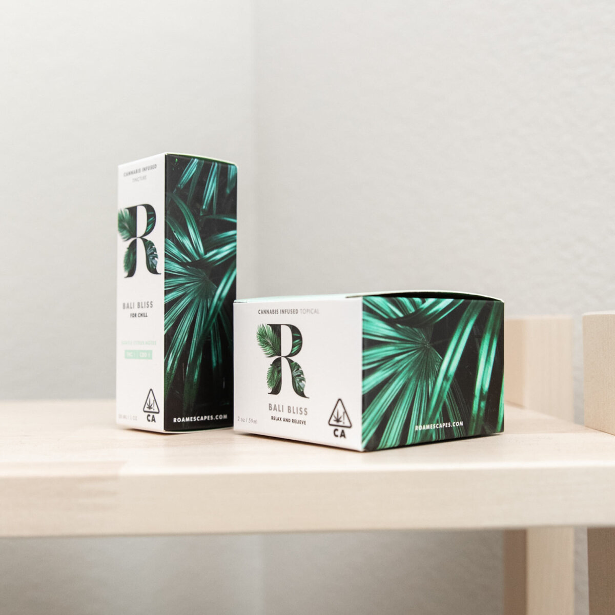 Rose-and-Palm-Studio_Portfolio_Studio-DIY_Roam-Escapes_Graphic-5