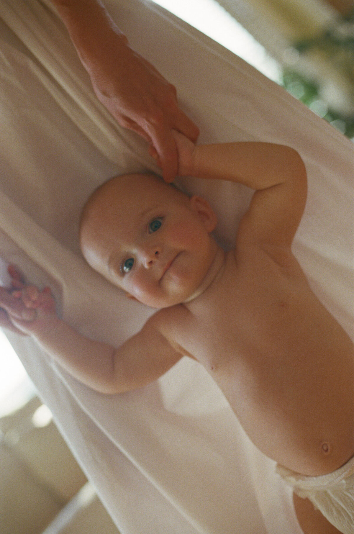 BAILEY ANN ORIGINAL FAM-34