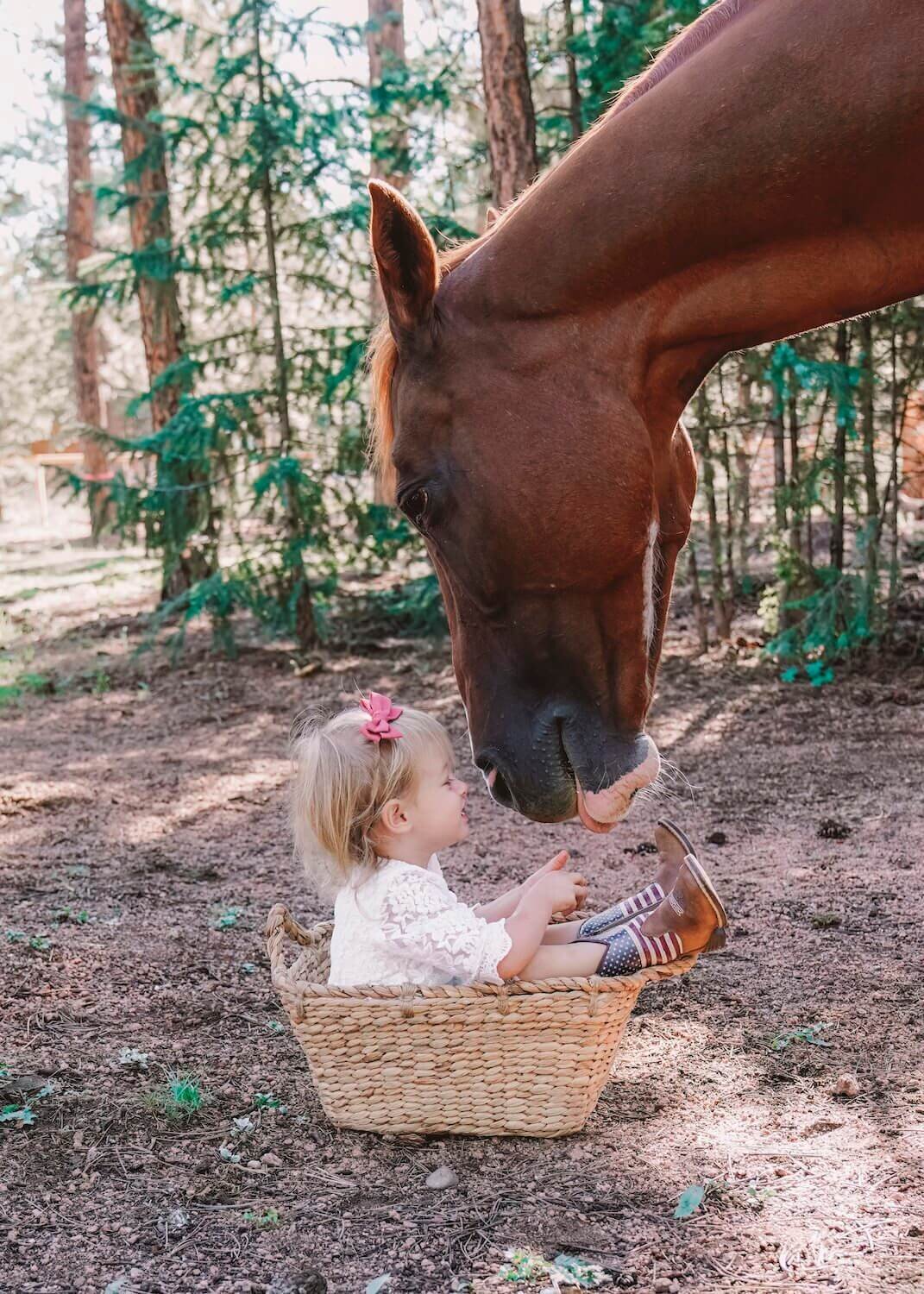 family photography denver co - horse putting its head close to little girl in basket