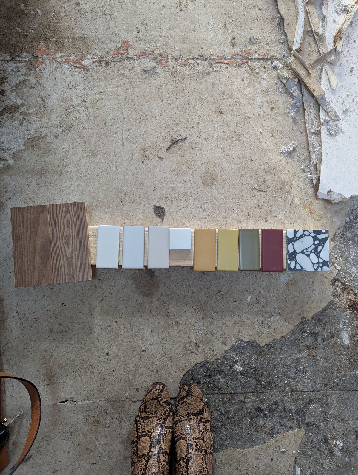 PXL_20250110_174101560