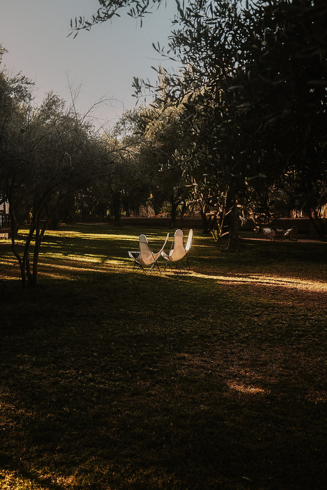 TheAlchemist-308_websize