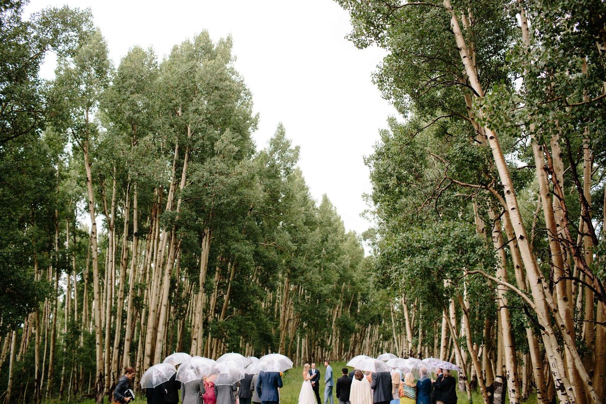 1692_Destination_Wedding _Photographer_Mountain_Beach_Vineyard_Missouri_St_Louis