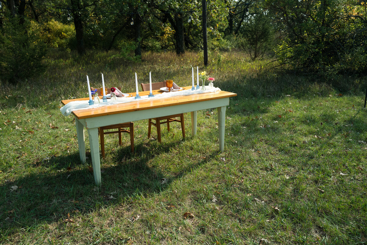 Backyard-Wedding-Rogers-MN-B&S-Will-DeGraw-Clever-Disarray-46