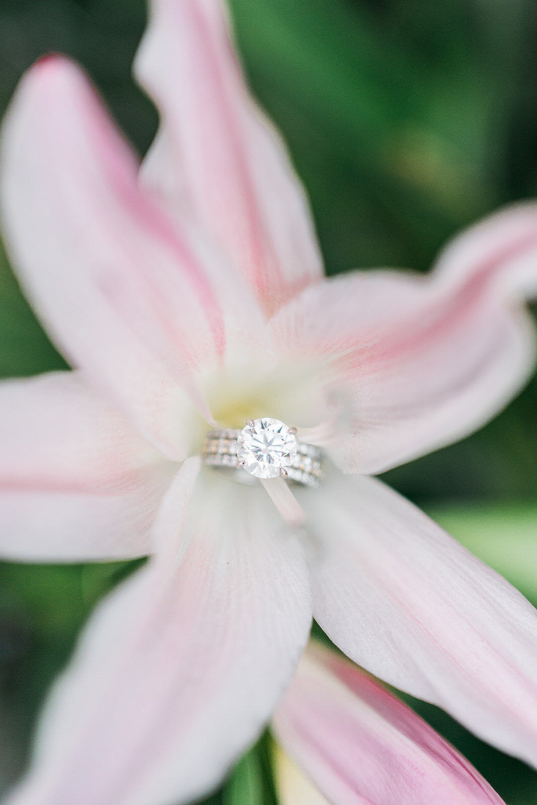 Saba-engagement-140_websize
