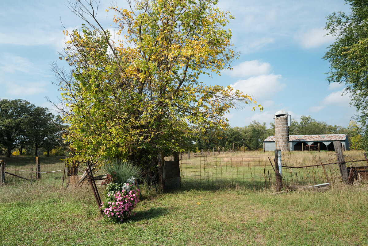 Backyard-Wedding-Rogers-MN-B&S-Will-DeGraw-Clever-Disarray-2