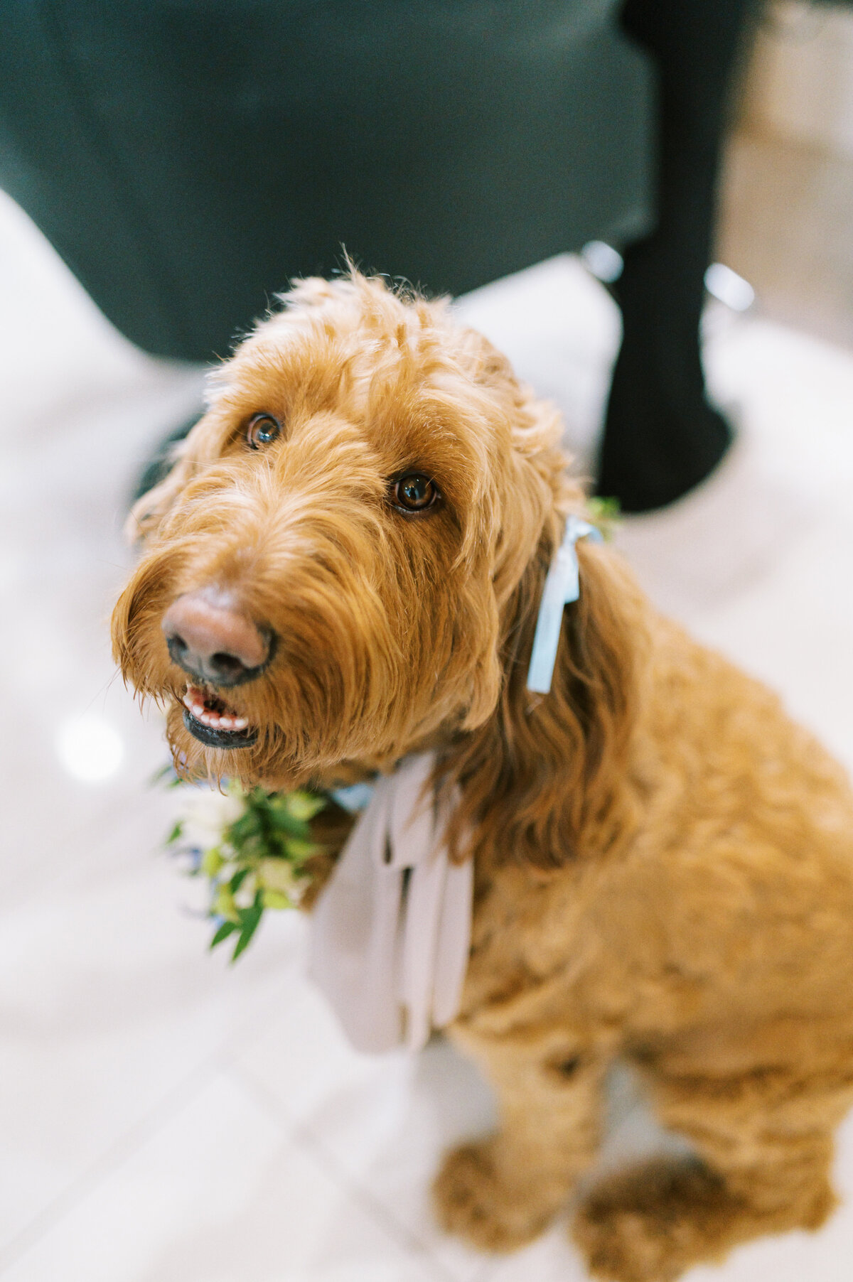 Austin-Wedding-Photographer--6