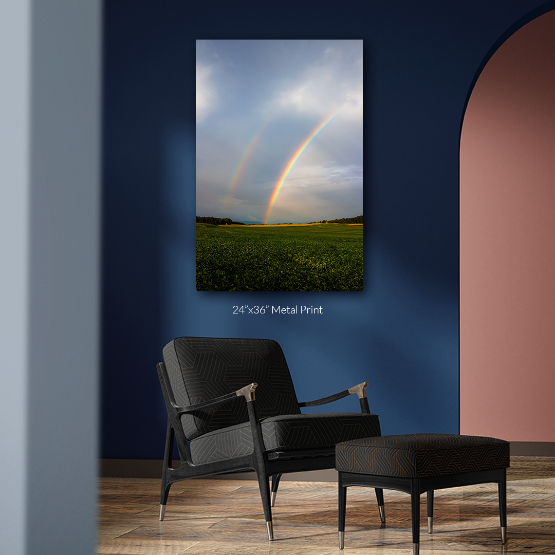 Zyan-Mockup2