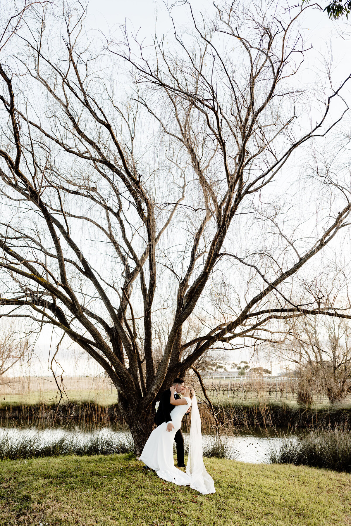 Witchmount-Estate-Wedding