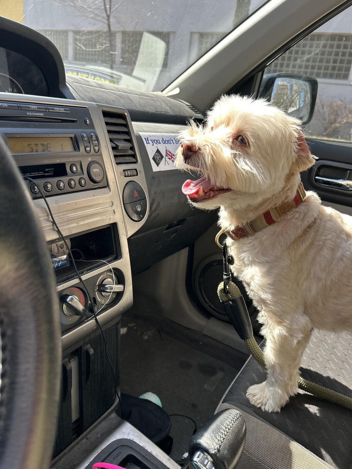 HamiltonToronto-PetSitting-030