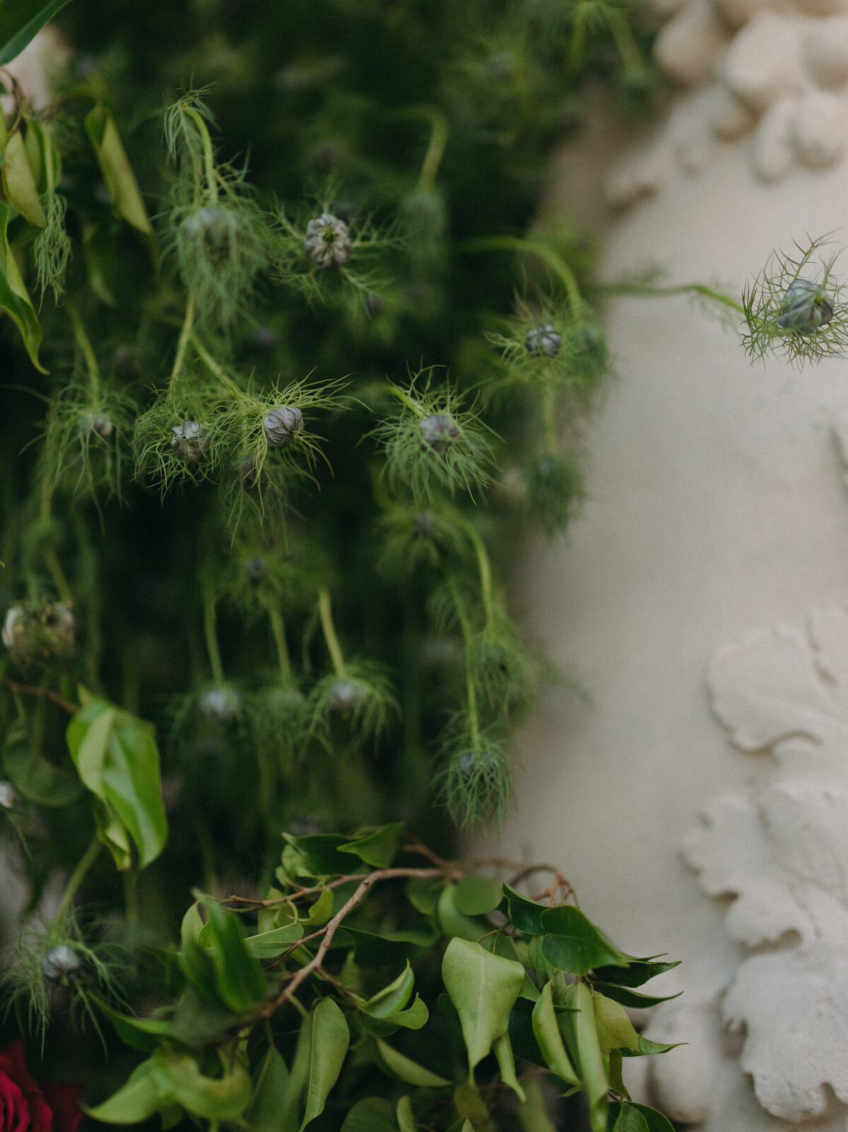 250524JORTAY_adv0059