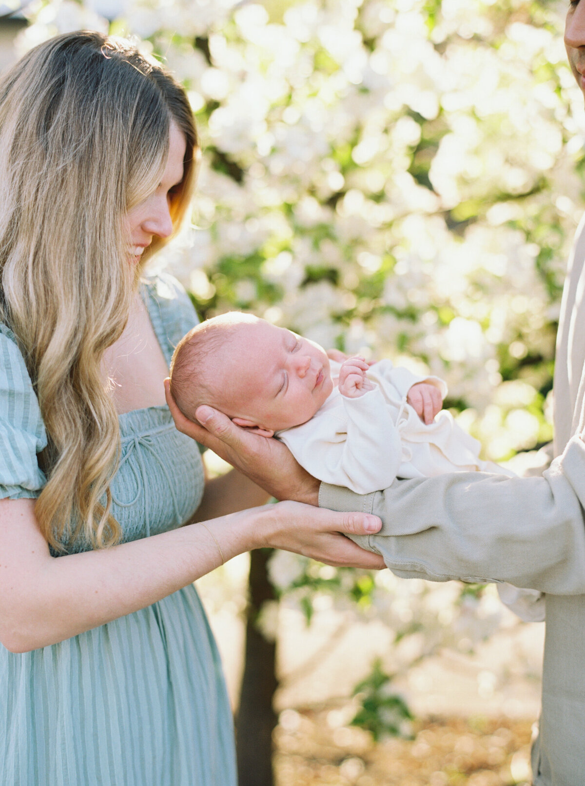 seattle-spring-newborn-photos