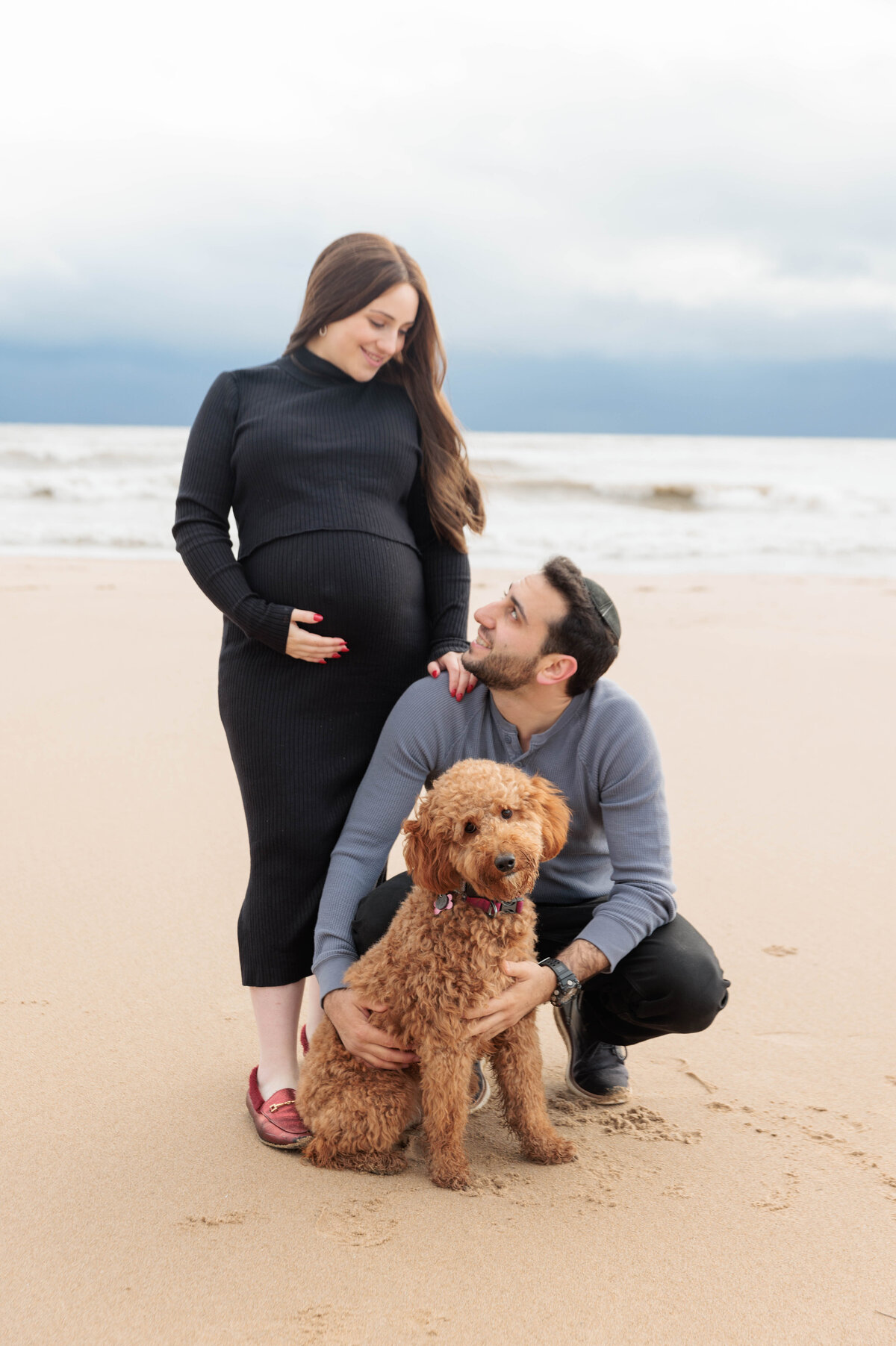 maternity-dog-puppy-pregnant