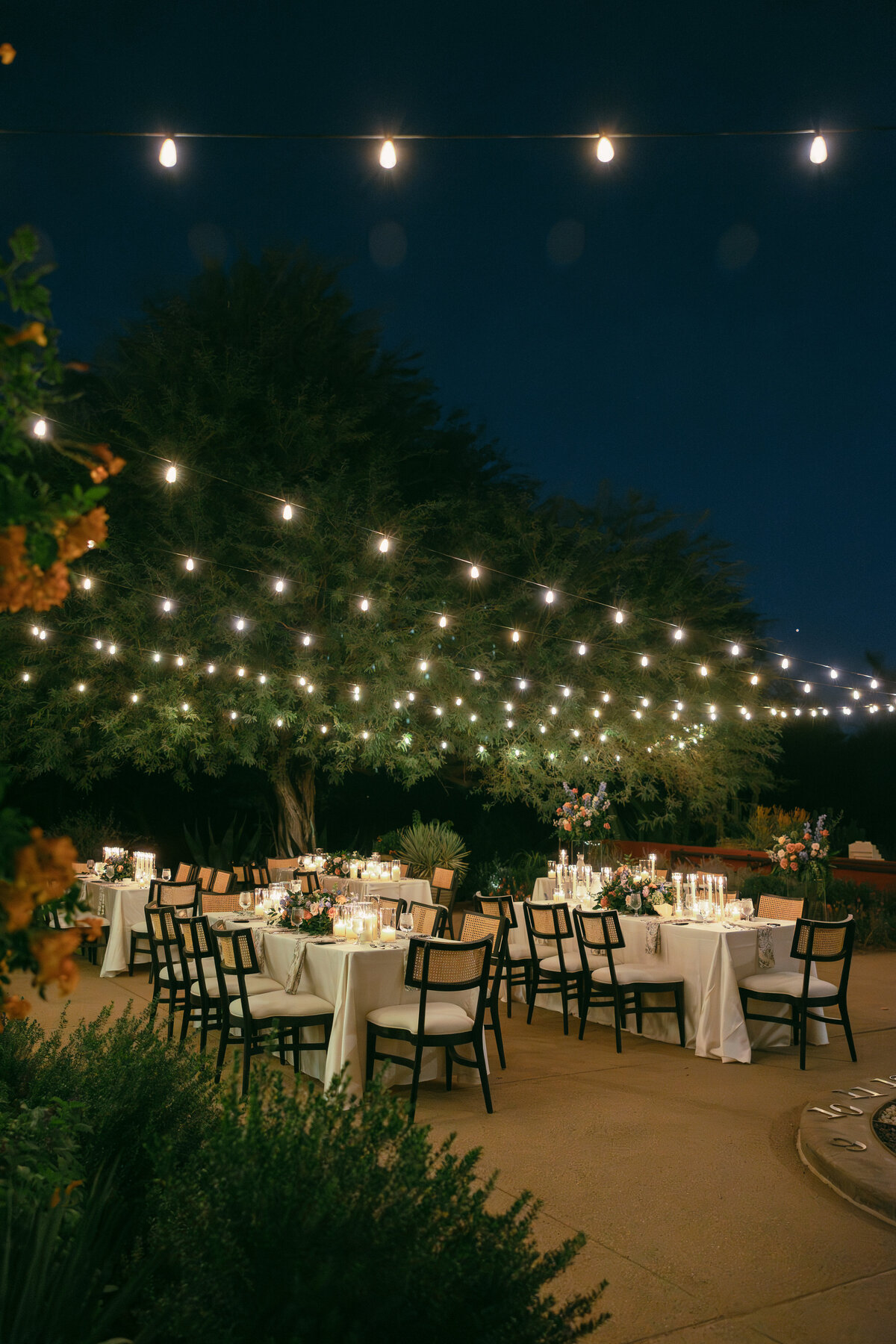 caitlin_audrey_photography (82 of 123)