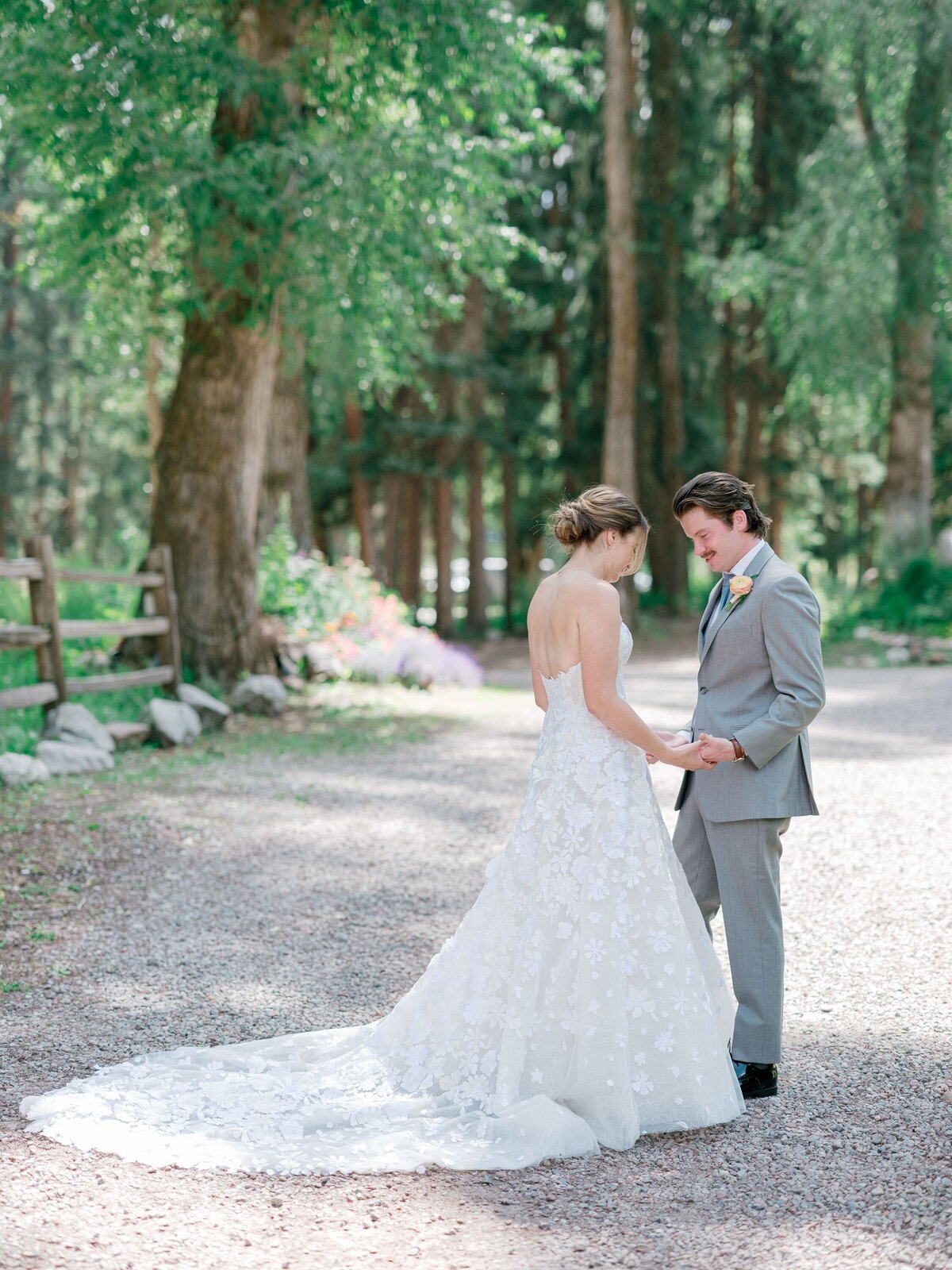 first-look-in-the-trees